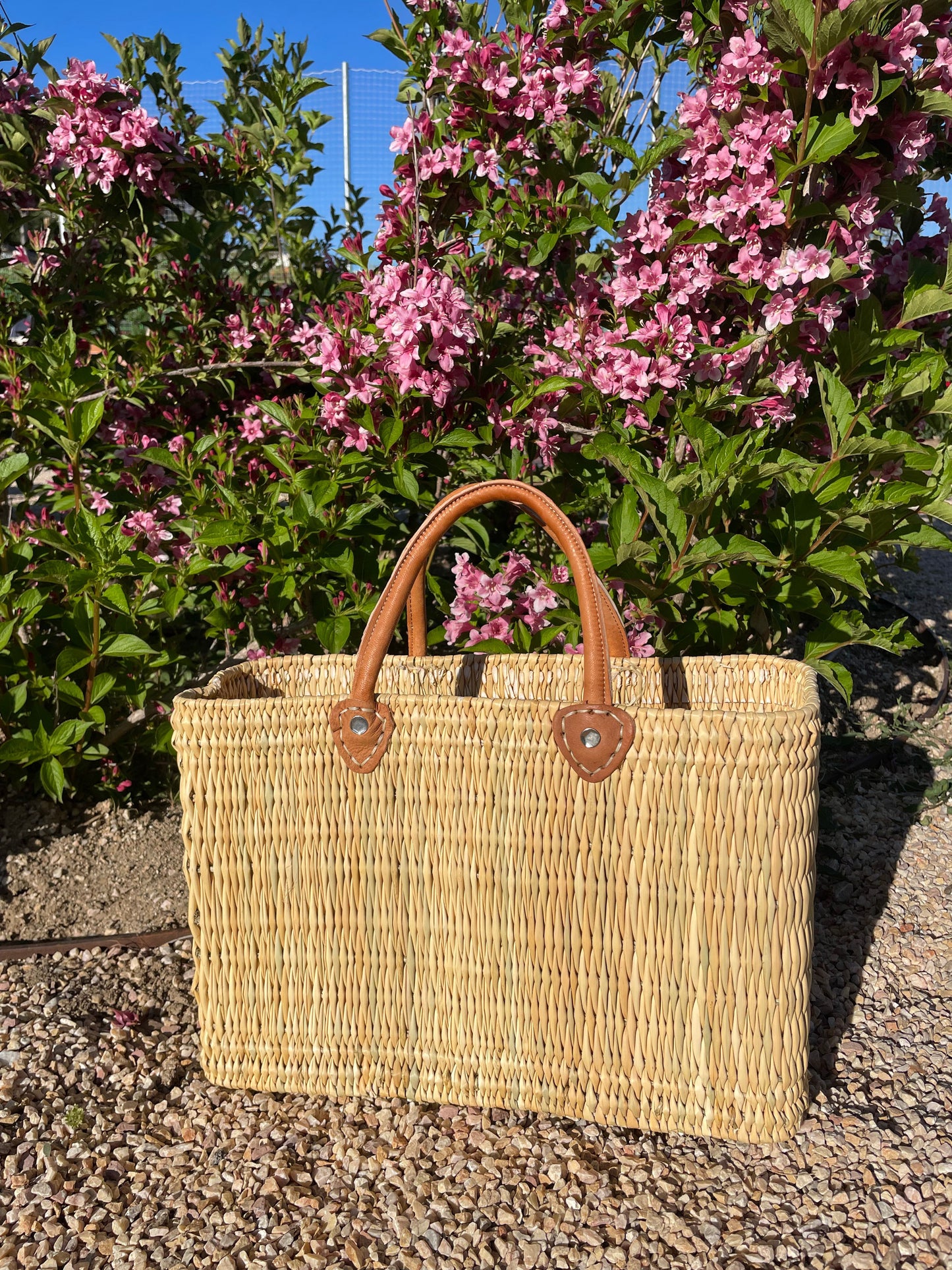 Desert Basket