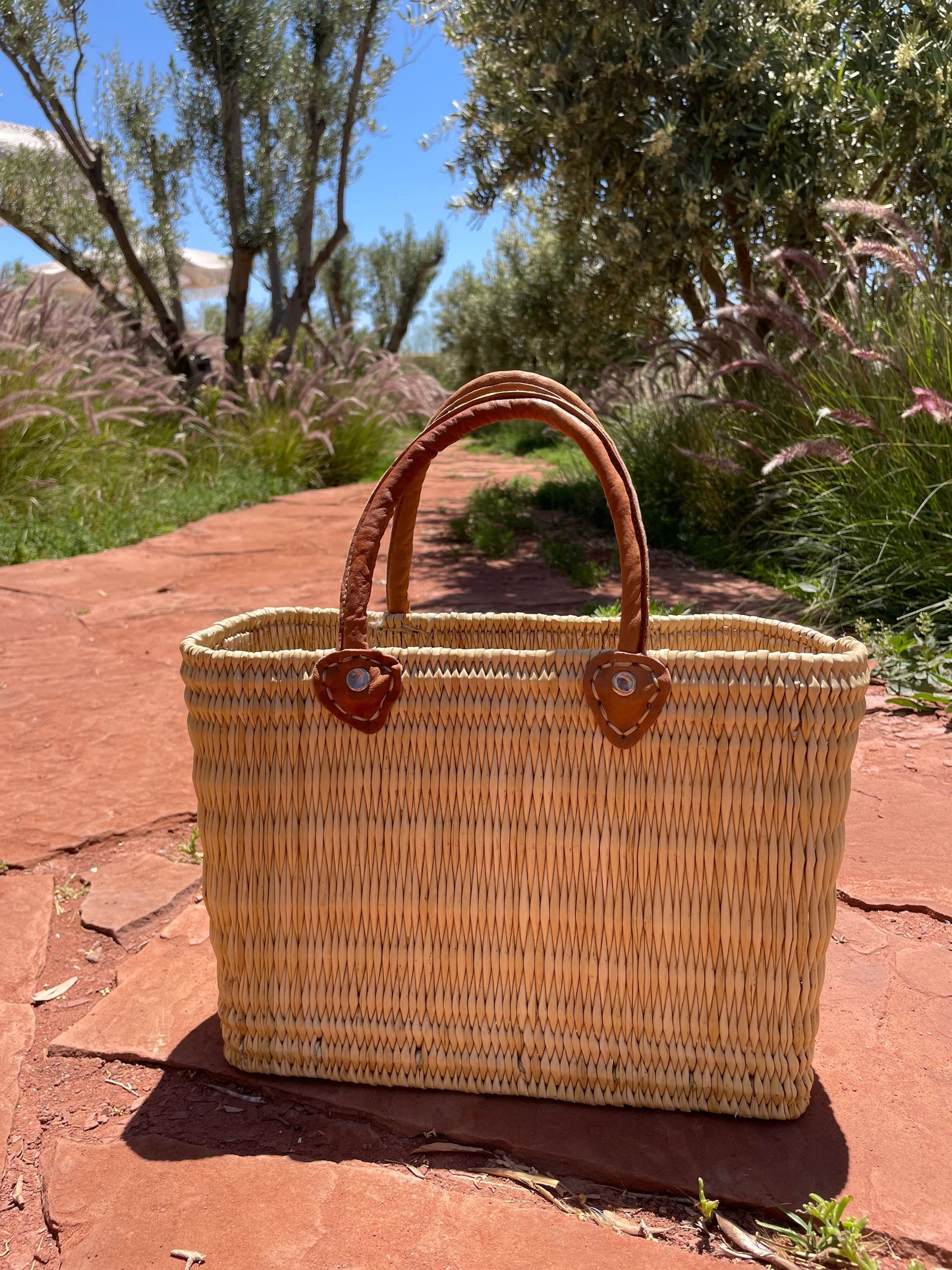 Desert Basket